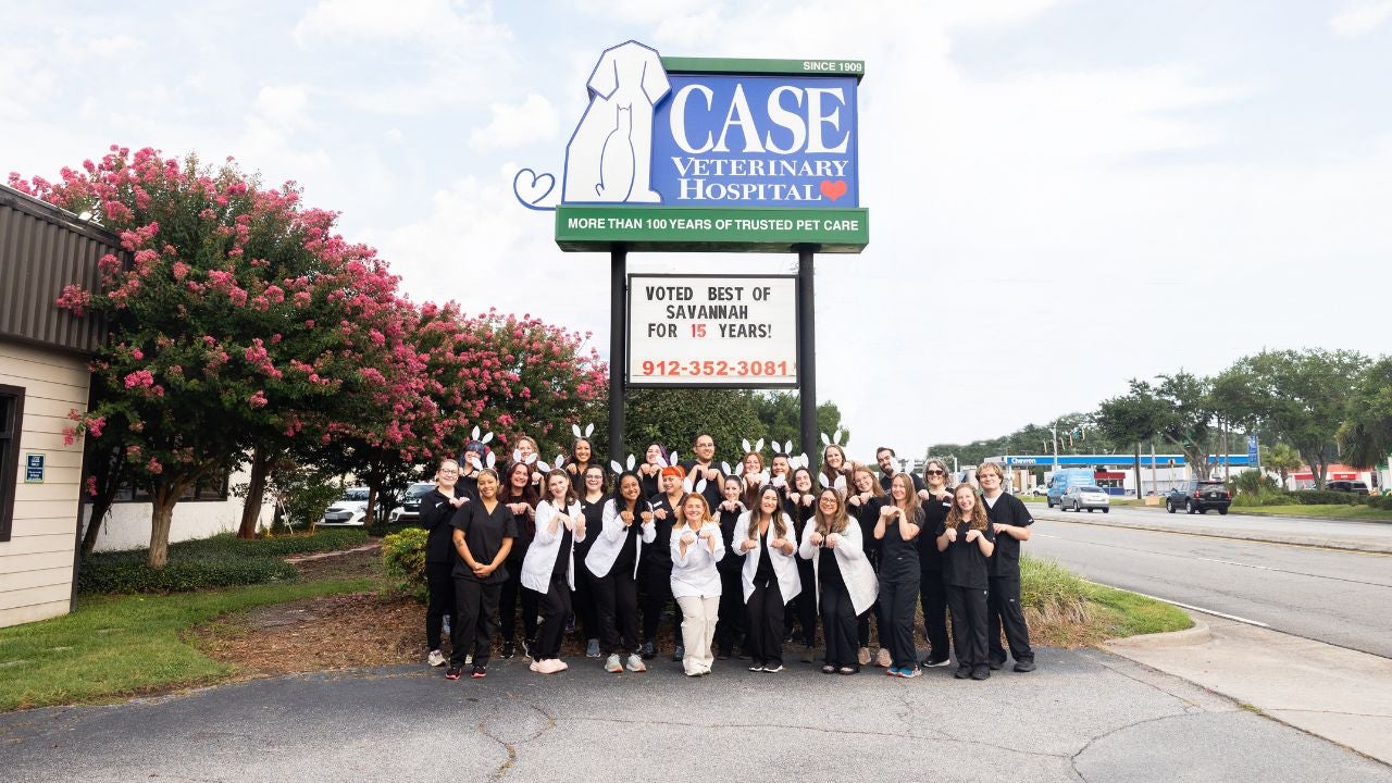 Case Vet in Savannah Georgia Best Vet