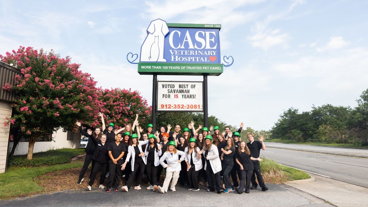 Case Vet team in Savannah, GA St. Patrick's Day