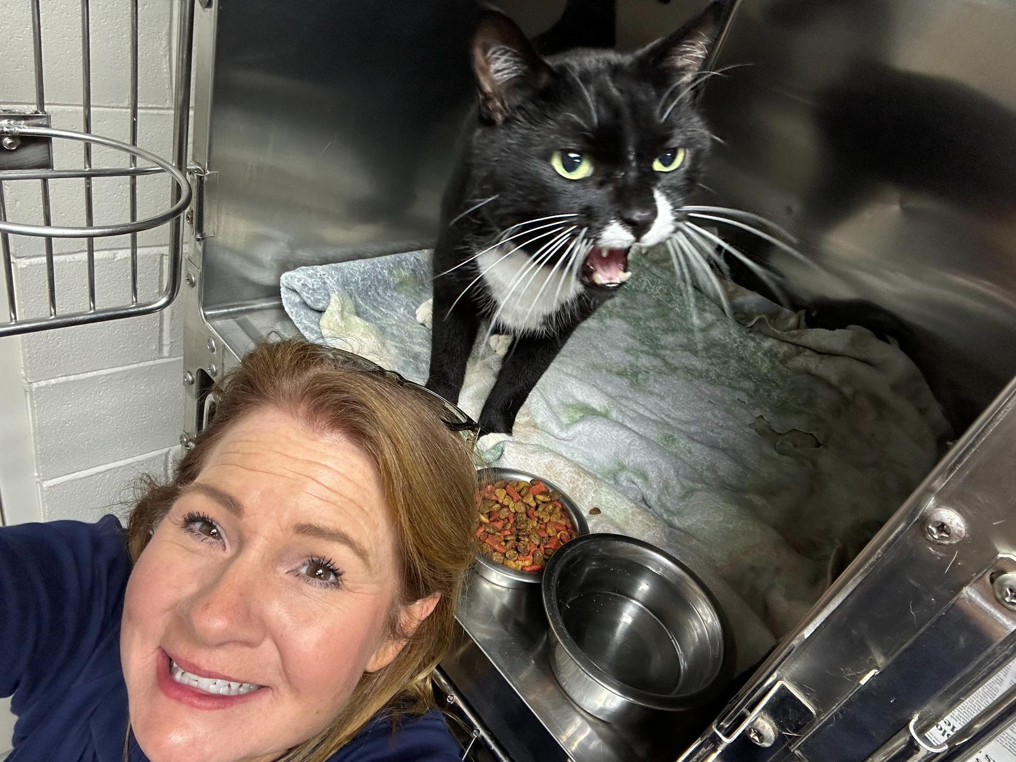 Dr. Carla Case McCorvey