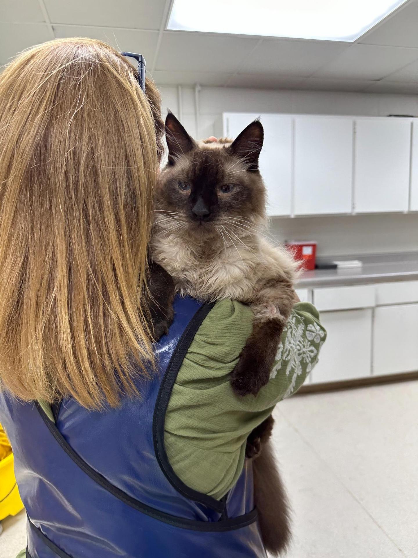 Dr. Case McCorvey and Coffee in Radiology Dr. Case McCorvey and Coffee in Radiology