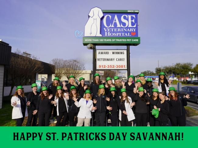Happy St. Patrick's day Savannah Georgia